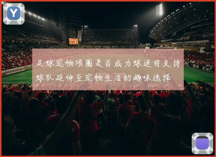 足球宠物项圈是否成为球迷将支持球队延伸至宠物生活的趣味选择
