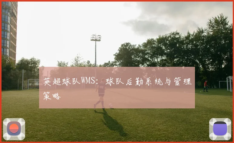 英超球队WMS：球队后勤系统与管理策略