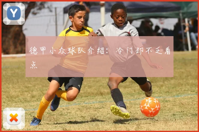 德甲小众球队介绍：冷门却不乏看点