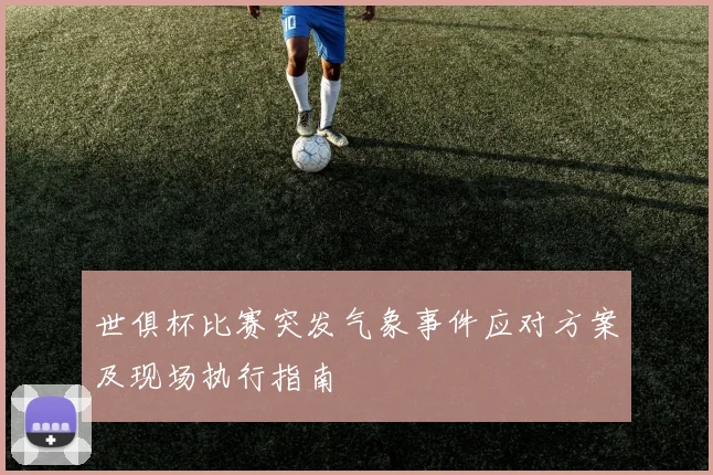 世俱杯比赛突发气象事件应对方案及现场执行指南