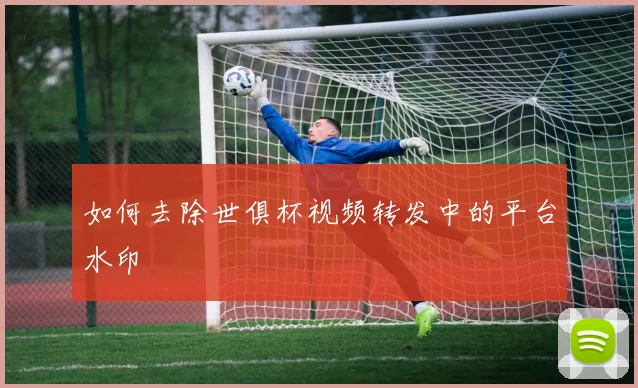 如何去除世俱杯视频转发中的平台水印
