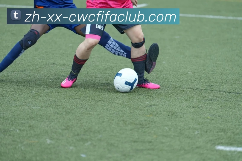 世界杯竞猜平台生态图