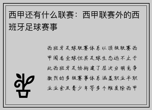 西甲还有什么联赛：西甲联赛外的西班牙足球赛事